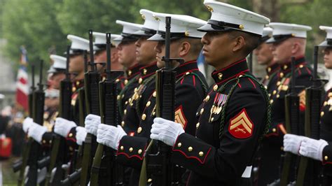 marine corps m&ms|Marines.mil .